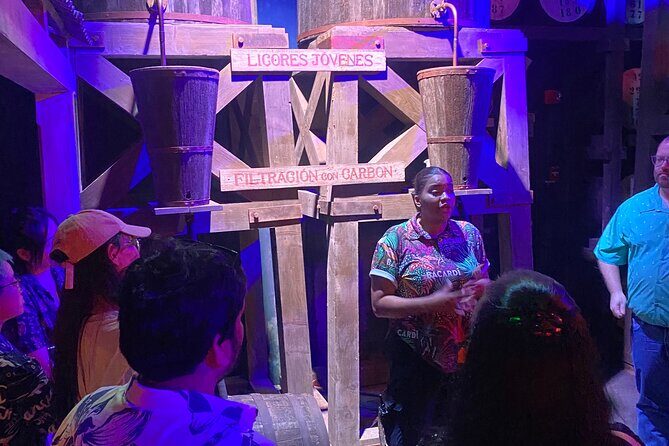 Bacardi Rum Distillery and Old San Juan Tour - Who Will Love This Tour?