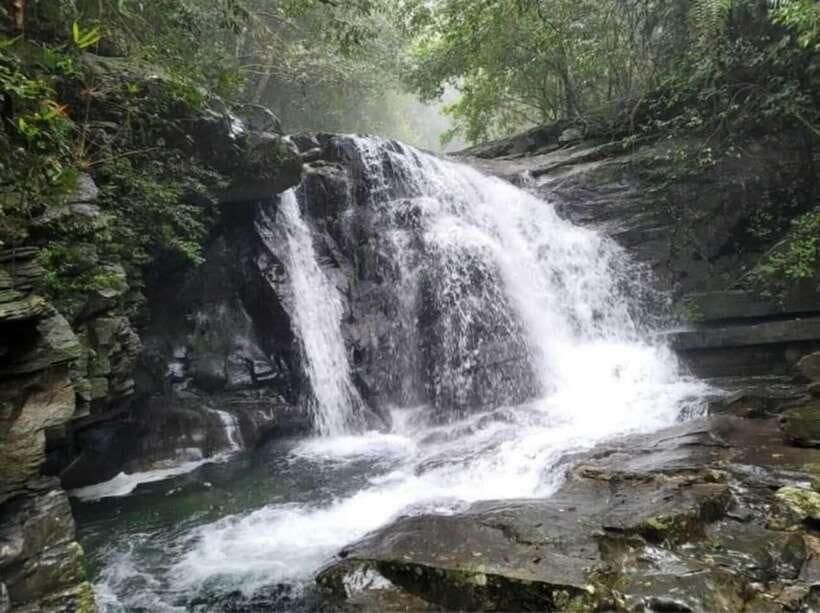 Bach Ma National Park: Day Trek Group Tour From Hue - Frequently Asked Questions