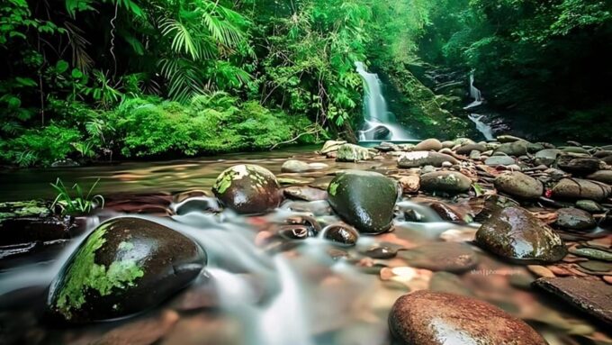 Bach Ma National Park Hiking Day Trip With Pickup From Hue - Tips for a Great Experience