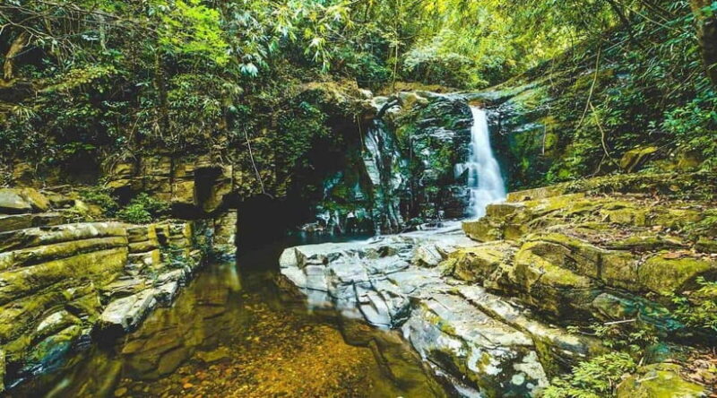Bach Ma National Park Trekking Tour : Hoi An / Da Nang / Hue - What to Expect on the Trek