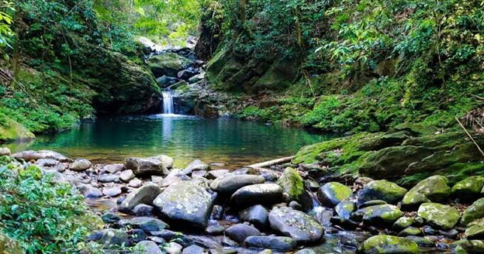 Bach Ma National Park Trekking Tour : Hoi An / Da Nang / Hue - Important Restrictions and Guidelines