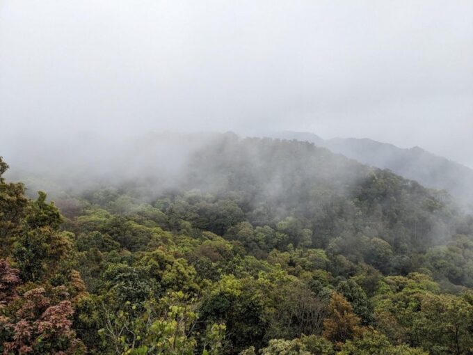 Bach Ma National Park Trekking Tour : Hoi An / Da Nang / Hue - Booking Information