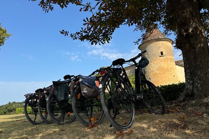 Backcountry E-Bike Adventure from Bordeaux: Wine Tasting & Lunch - Key Points