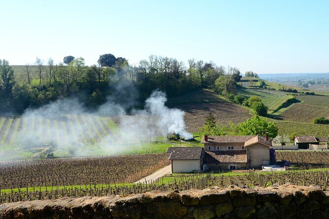 Backcountry E-Bike Adventure from Bordeaux: Wine Tasting & Lunch - Practical Considerations