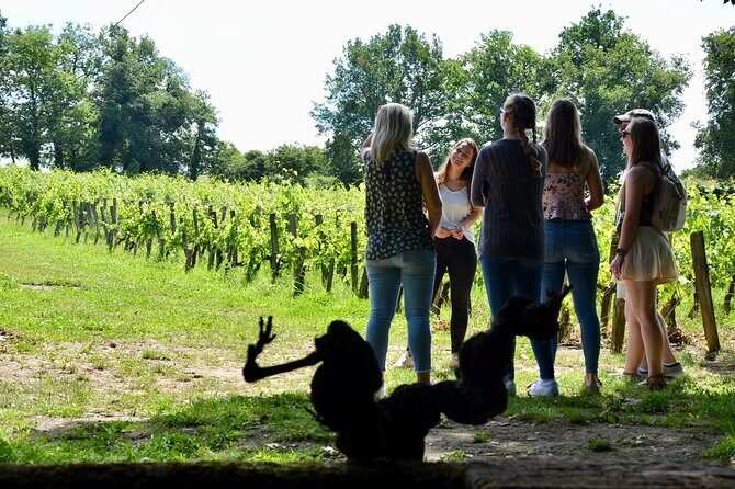 Backcountry E-Bike Adventure from Bordeaux: Wine Tasting & Lunch - FAQs