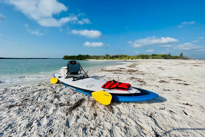 Backland Alligator Electric Paddle Tour - Tour Overview