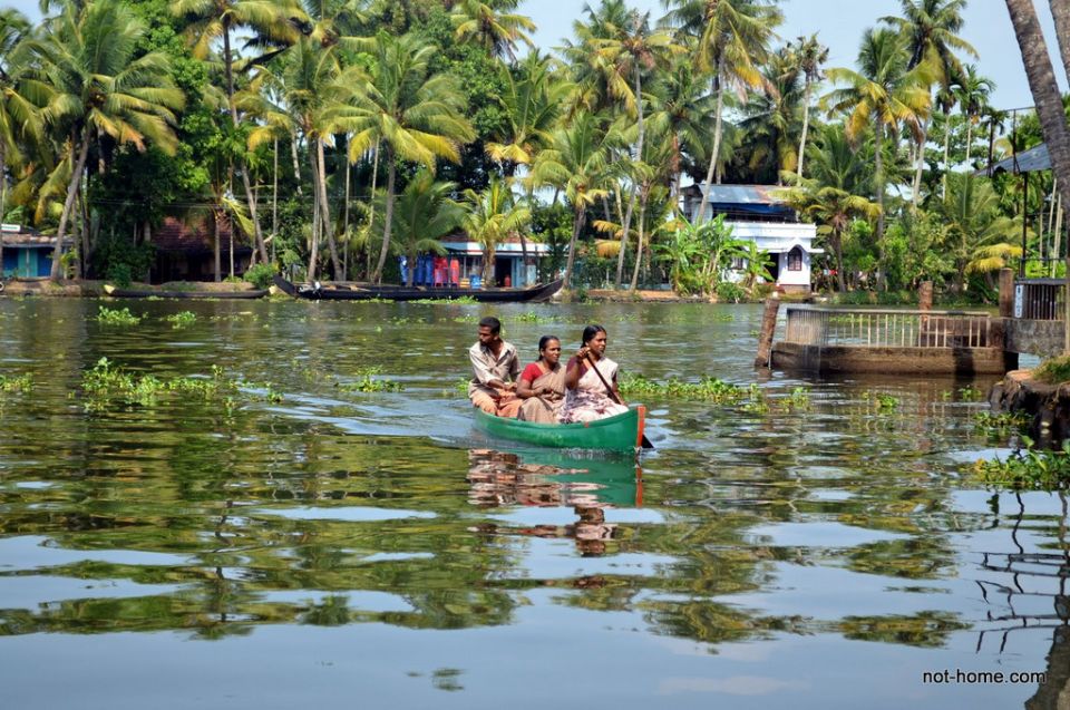 Backwater Houseboat and Fort Kochi Tour From Cochin Port - Inclusions and Exclusions
