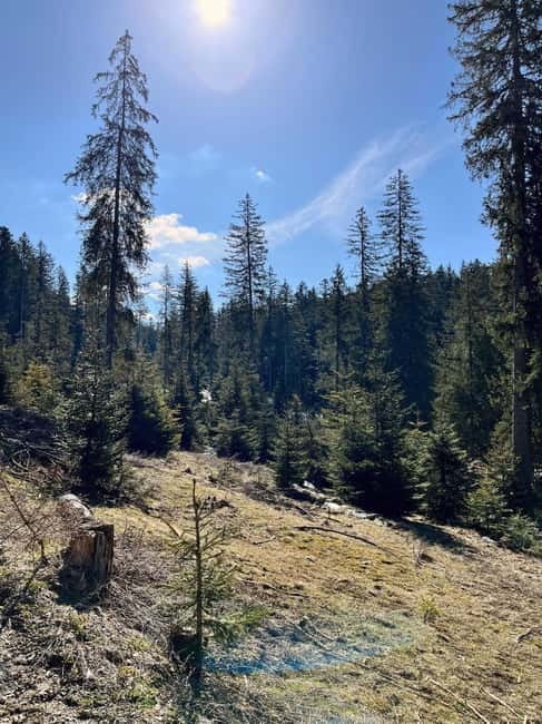 Bad Goisern: Caving & Scenic Hiking Adventure - Key Points