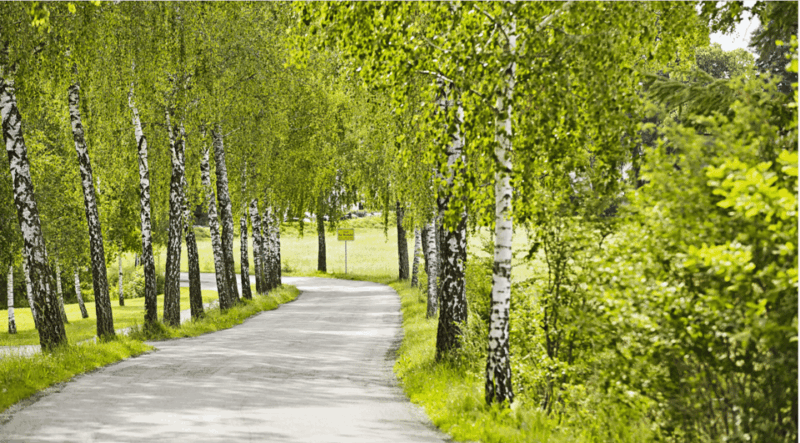 Bad Wörishofen: Fascia Walking - Preparation and Logistics