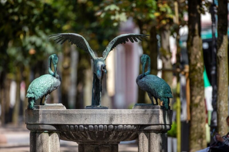 Baden-Baden: History and Thermal Water Guided Walking Tour - Key Points