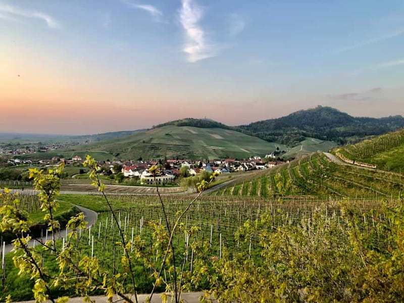 Baden-Baden: Private e-Mountainbike Tour with local Guide - Key Points  