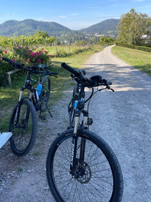Baden-Baden: Private e-Mountainbike Tour with local Guide - Pricing & Value  