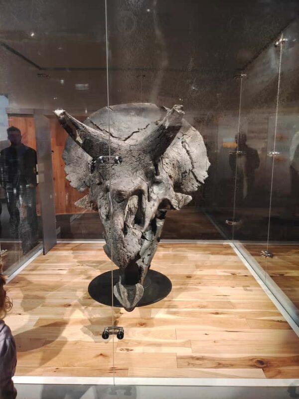 Badlands Tour: Drumheller with Museum, Hoodoos & Dinosaurs - The Worlds Largest Dinosaur & Local Sights