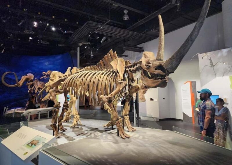 Badlands Tour: Drumheller with Museum, Hoodoos & Dinosaurs - Scenic Drive & Hoodoos