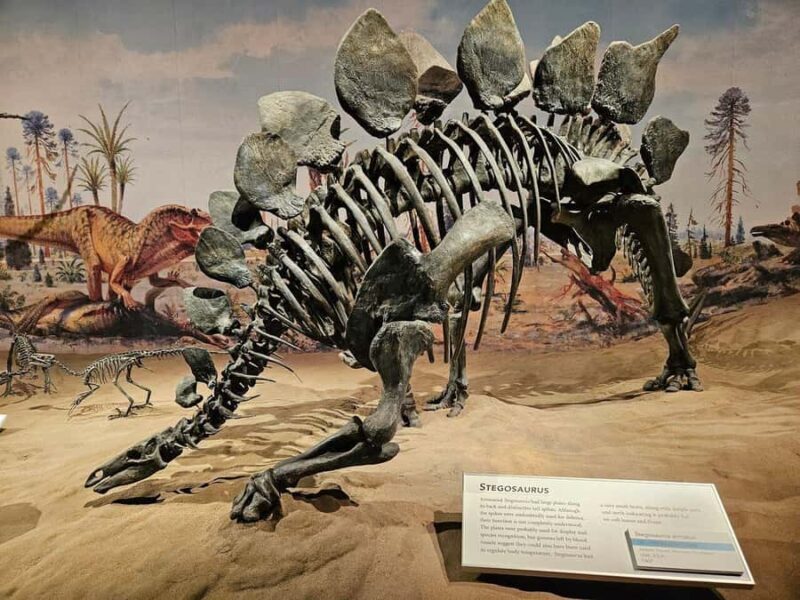 Badlands Tour: Drumheller with Museum, Hoodoos & Dinosaurs - Wayne and the Last Chance Saloon
