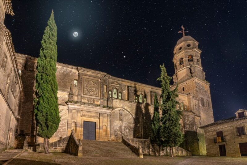 Baeza: Baeza Cathedral Entry Ticket - Audio Guide and Language Options
