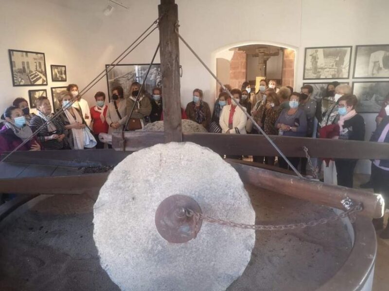 Baeza: Oil Tourism at Hacienda La Laguna - Guided Museum and Mill Tour