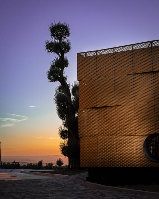 Baeza: Olive Oil Mill & Tasting at AOVEland - The Sum Up