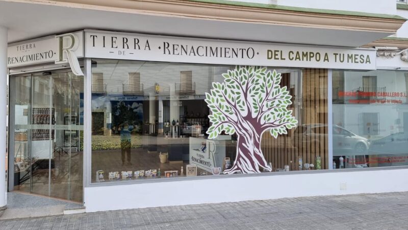 Baeza: Visit to an Ecological Olive Grove + Olive Oil Tasting - Key Points