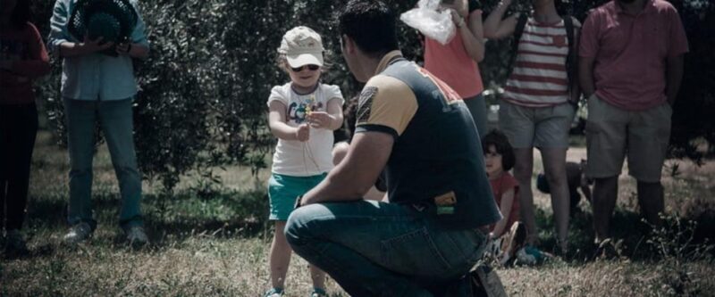 Baeza: Visit to an Ecological Olive Grove + Olive Oil Tasting - FAQ