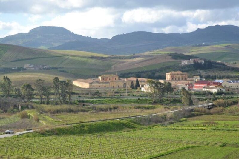 Baglio Florio Adamo: Oil Tasting - Savor the Typical Sicilian Lunch
