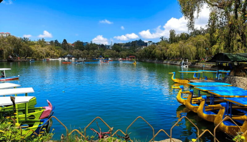 BAGUIO CITY DAY TOUR (FROM MANILA) - A Deep Dive Into the Experience