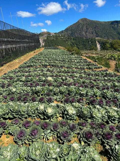 BAGUIO: Culture and Heritage Tour 2D1N - Authentic Experiences and Authenticity