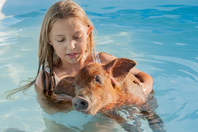 Bahamas Adventure: Pigs, Reef, Turtles, and Beach with Lunch - FAQ