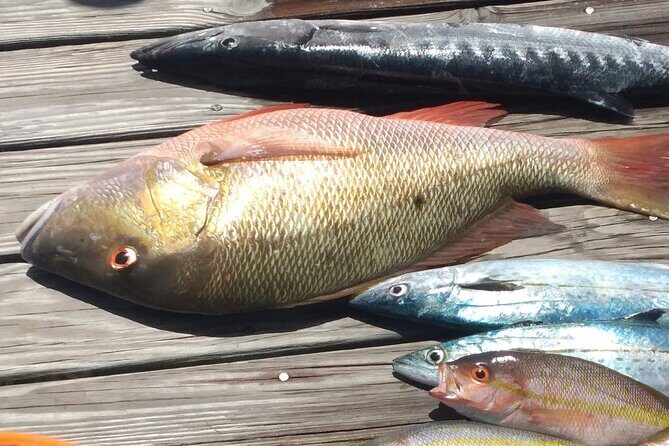 Bahamas Deep Sea Fishing - Setting the Scene: What to Expect