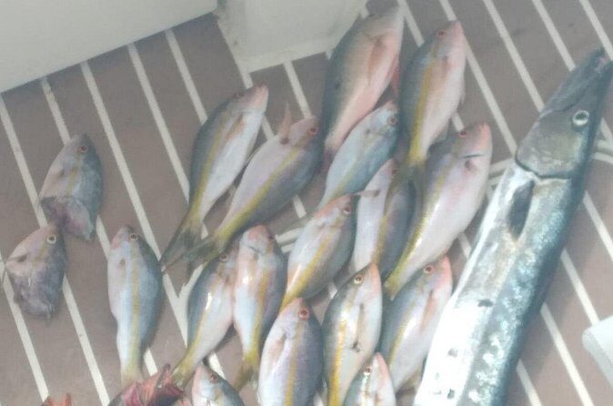 Bahamas Deep Sea Fishing - Who Will Appreciate This Tour?