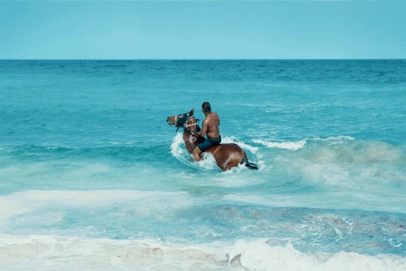 Bahamas: Horseback Riding Adventure on Beaches & Trails - The Value of a Small Group Experience