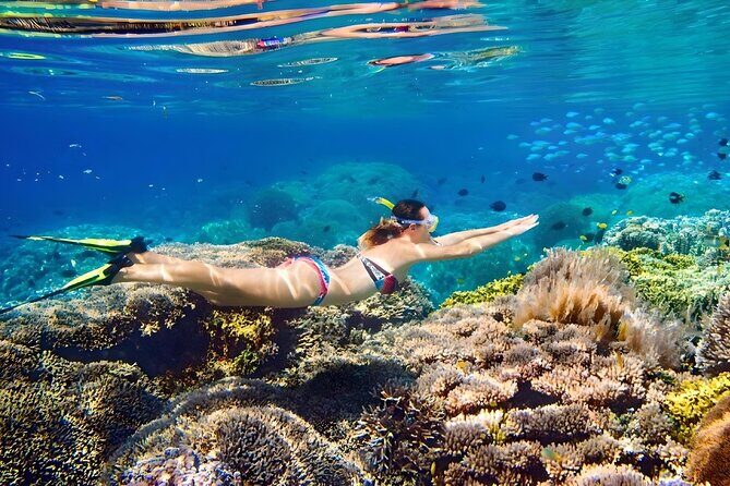 Bahamas Island Private Hopping Adventure - An In-Depth Look at the Bahamas Island Private Hopping Adventure