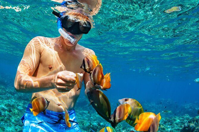 Bahamas Island Private Hopping Adventure - Final Thoughts