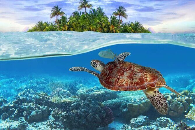 Bahamas Local Water Tours to George Town and Exuma - Key Points