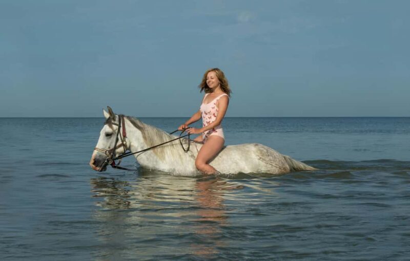 Bahamas, Nassau: Beach Horse Ride & Ocean Water Adventure - What Makes This Tour Stand Out
