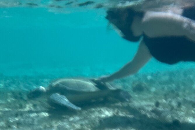 Bahamas Sea Scooter Snorkeling Adventure - FAQ