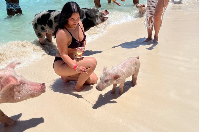 Bahamas Swimming Pigs Experience on Rose Island - Customer Feedback
