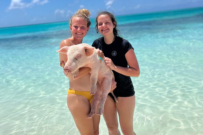 Bahamas Swimming Pigs Experience on Rose Island - Dining Options