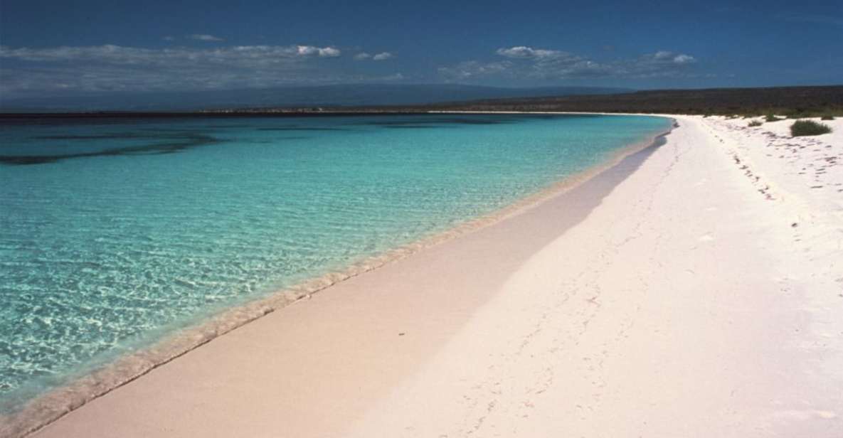 Bahia De Las Aguilas: Beach Day Trip by Boat - Highlights of the Trip