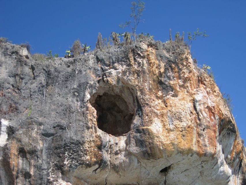 Bahía De Las Aguilas: Beach Day Trip by Boat - English, Spanish, German, or French Guide