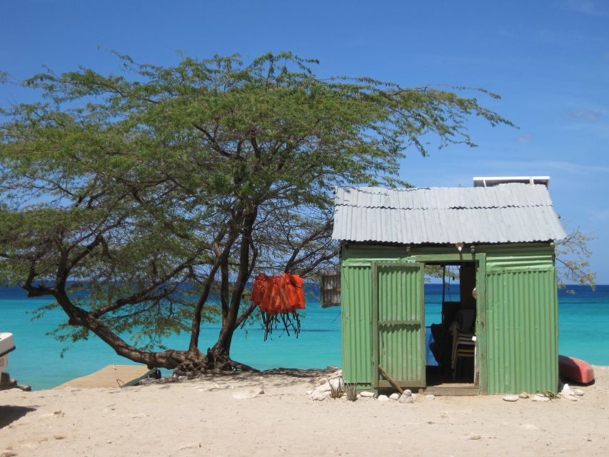 Bahía De Las Aguilas: Beach Day Trip by Boat - Frequently Asked Questions