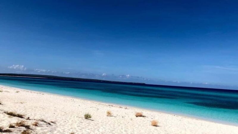 Bahía de las águilas glamping experience from Santo Domingo - Key Points