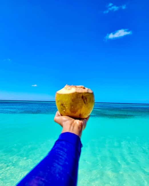 Bahía de las Águilas VIP Full Day  Private Beach, Lunch & Open Bar - Transport and Group Size