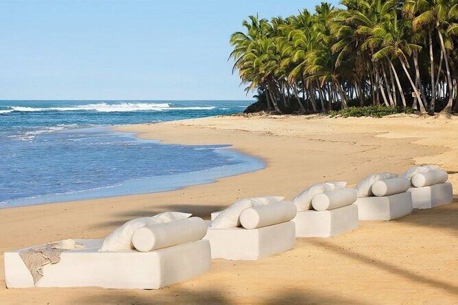 Bahia Principe Esmeralda- Round Trip Shuttle - Punta Cana Airport - How the Service Works: An Expectation Breakdown