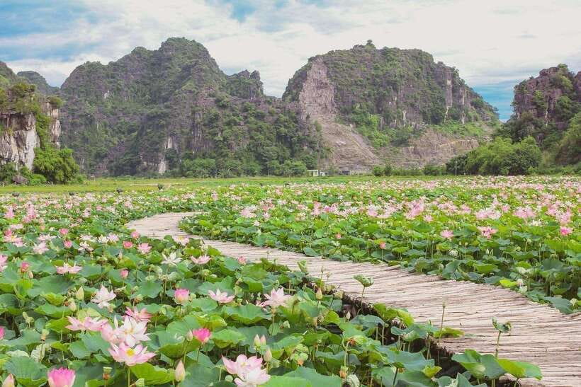 Bai Dinh Pagoda and Trang An Eco-Tourism Day Group Tour - Overview of the Tour