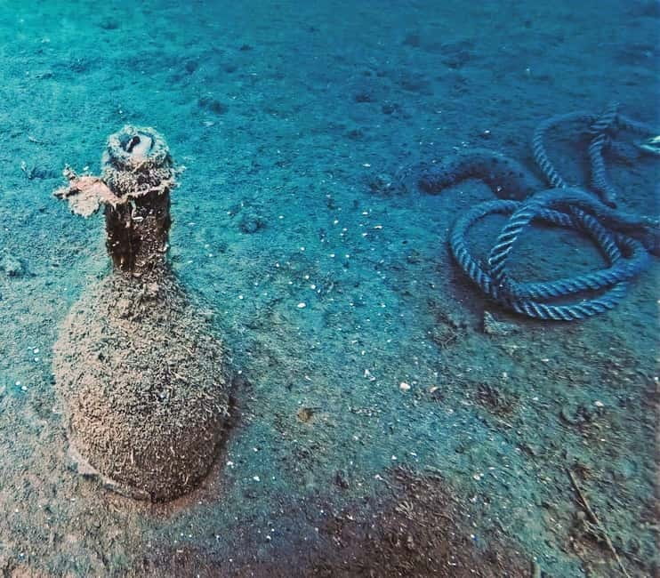 Baia Archaeological Park: underwater tours, snorkeling, try scuba diving. - Group Size, Duration, and Booking