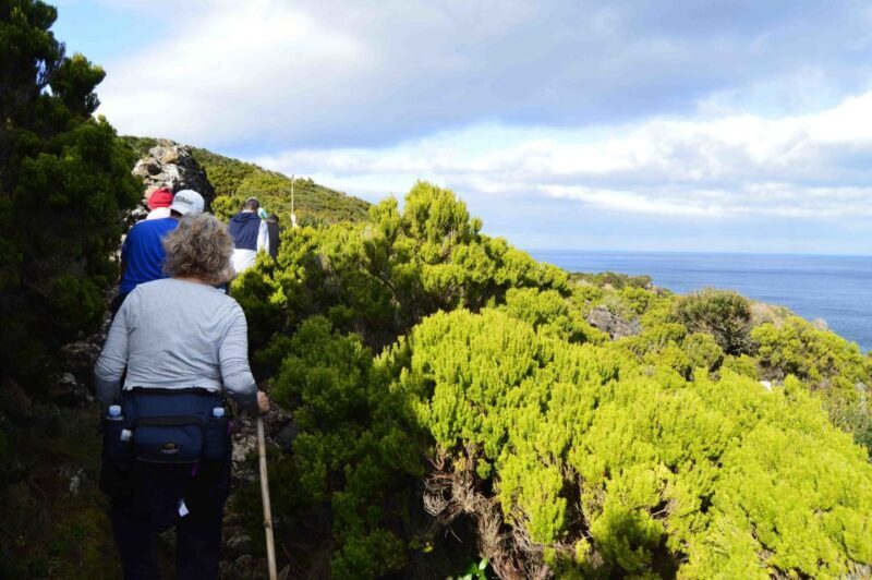 Baías de Agualva hiking - Terceira island - Who Should Consider This Tour?