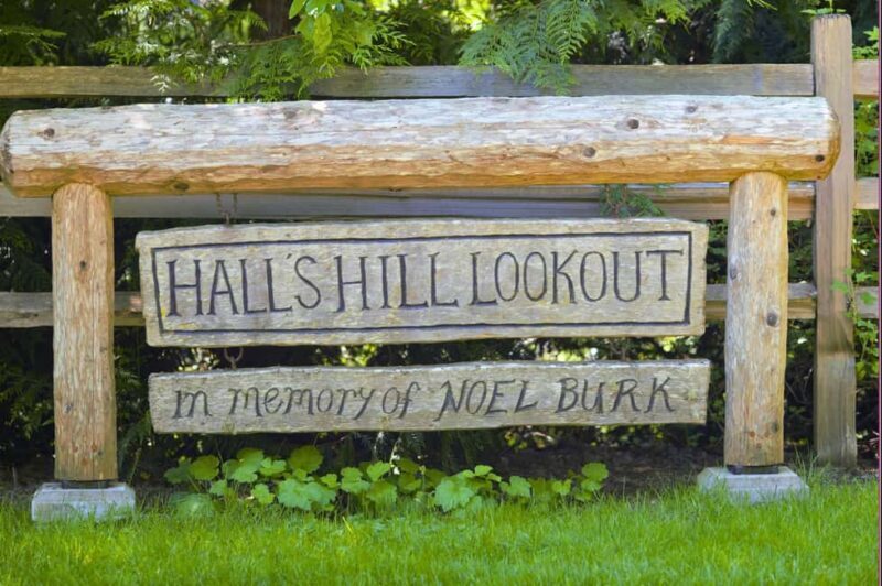 Bainbridge Island Discovery and Wine Tour - Who Should Consider This Tour?