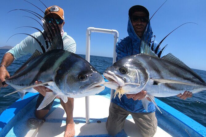 Baja Fishing Dream Roosterfish Dorado Marlin Yellowtail Tuna - Key Points