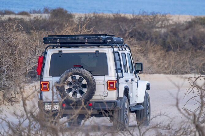 Baja Overland Surf Trip (2 Nights Camp, 3 Days of Surf) - Final Thoughts